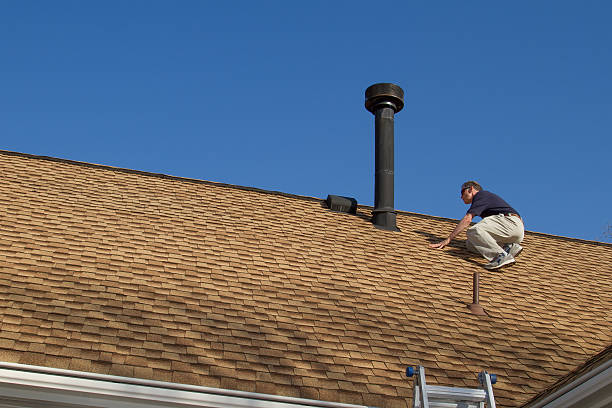 Best Roof Moss and Algae Removal  in Oak Lawn, IL